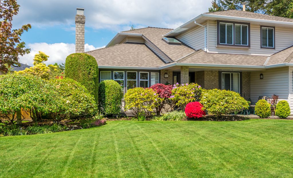 summer hedge and shrub trimming