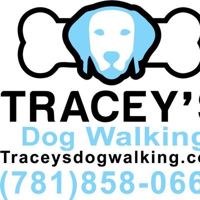 Avatar for Tracey's Dog Walking