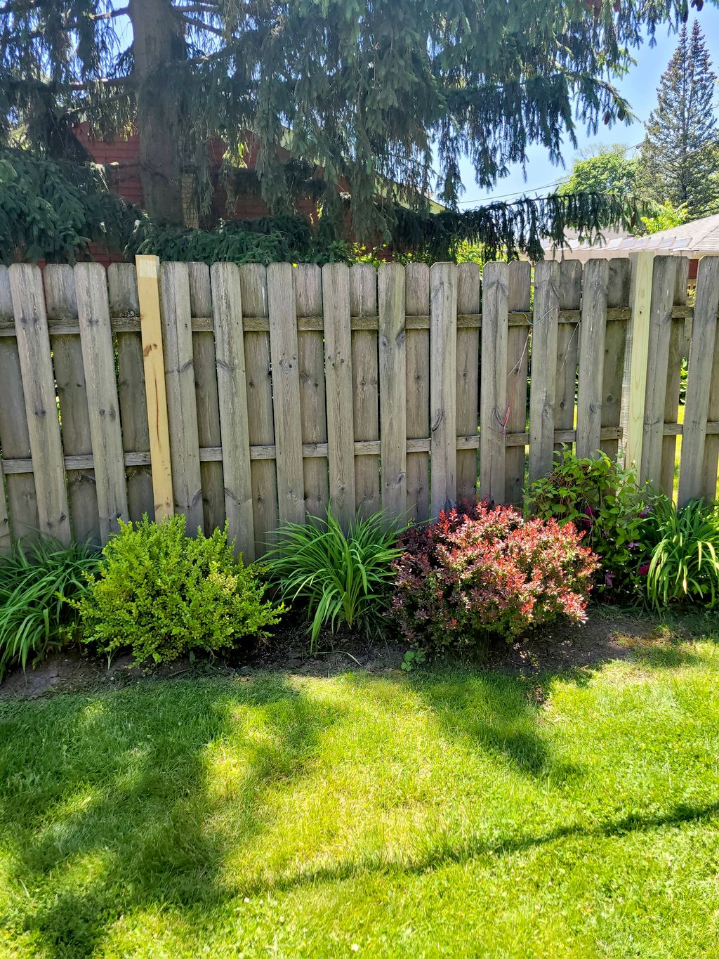 Customer photos