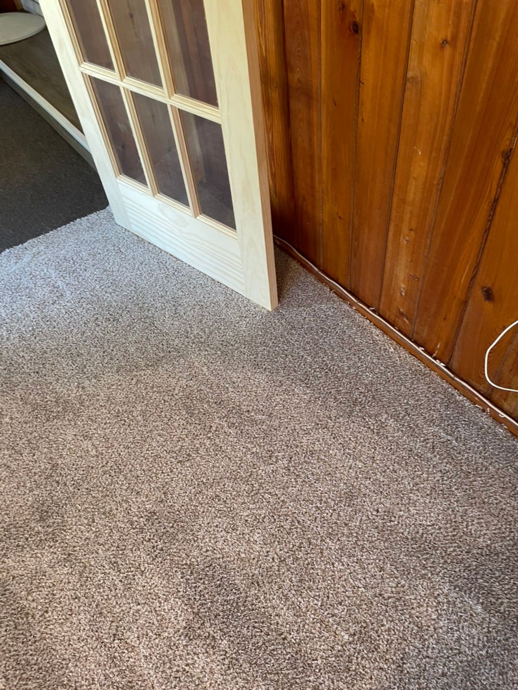 Carpet