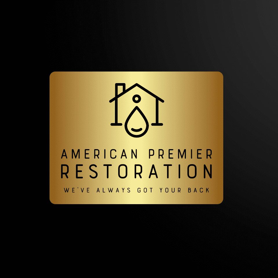 AMERICAN PREMIER RESTORATION LLC