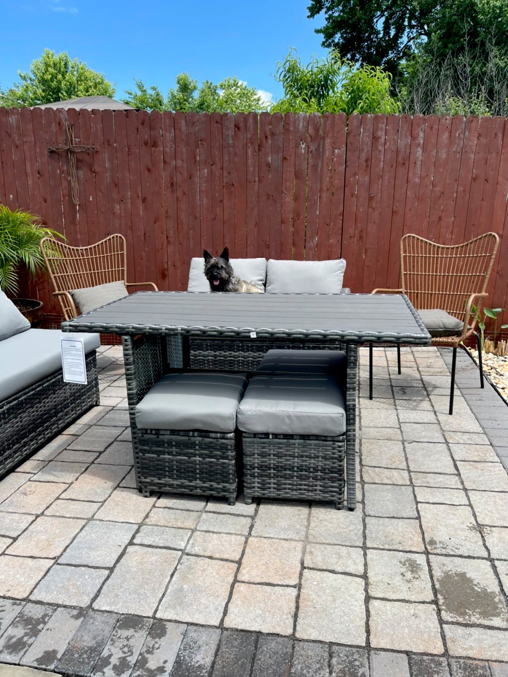 Customer photos