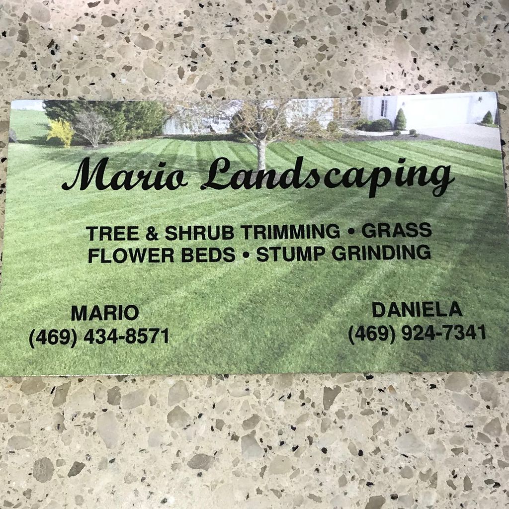Mario landscaping and tree service