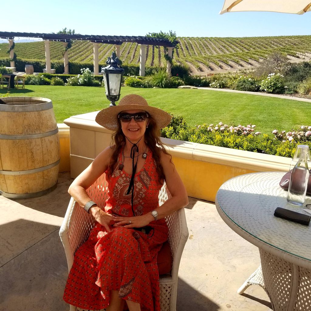 Grape harvest, Paso Robles CA 