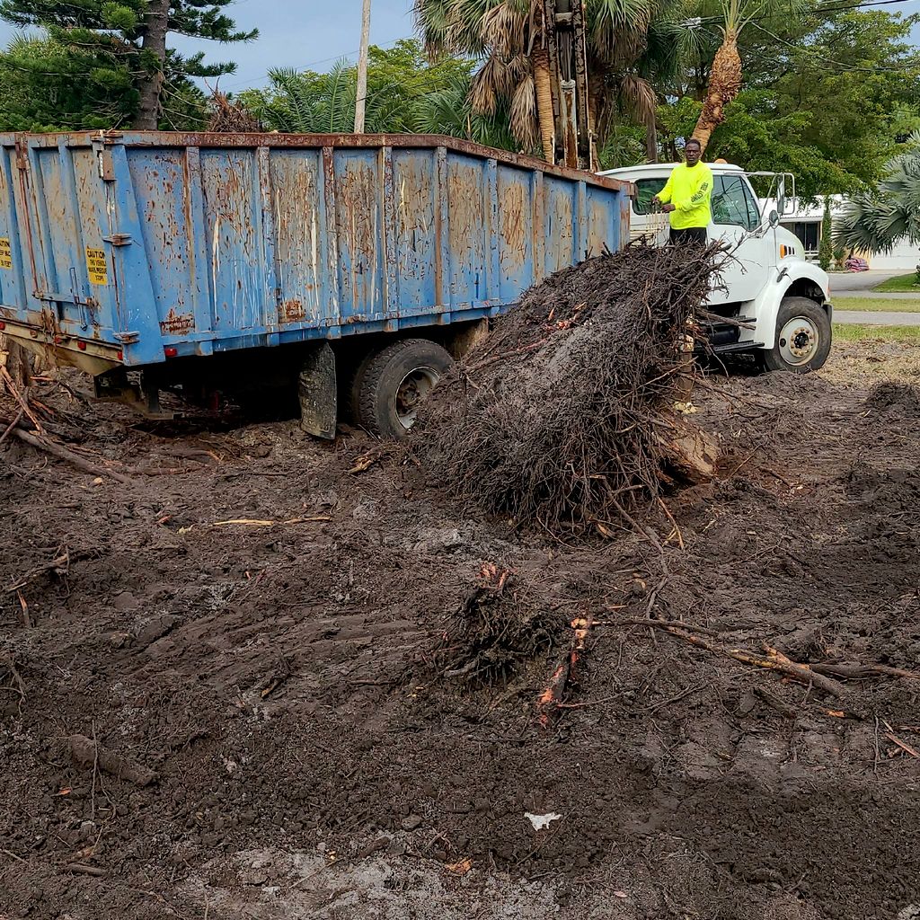 Awesome Tree & Stump Service, LLC