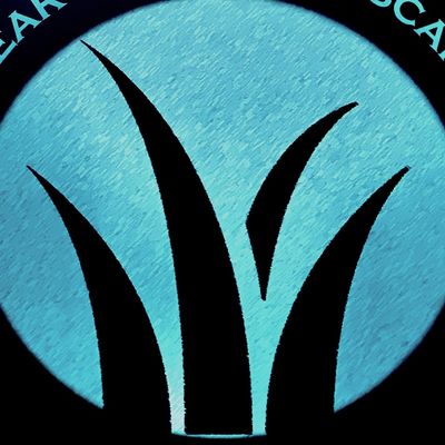 Avatar for Clearwater Landscaping