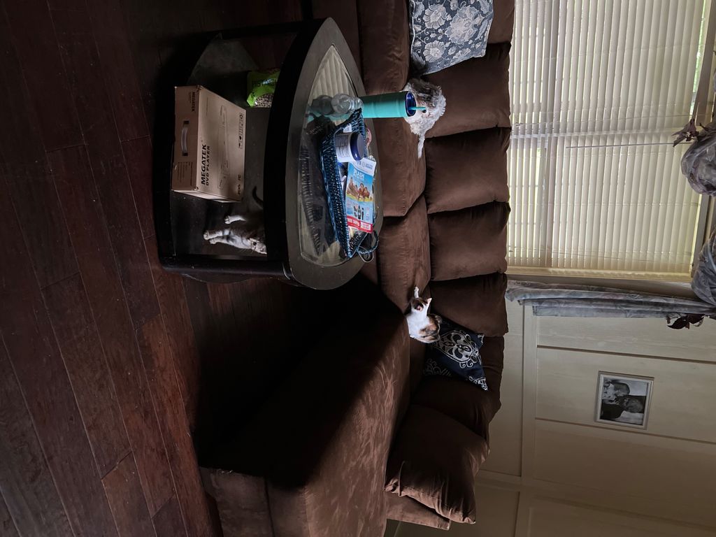 Customer photos