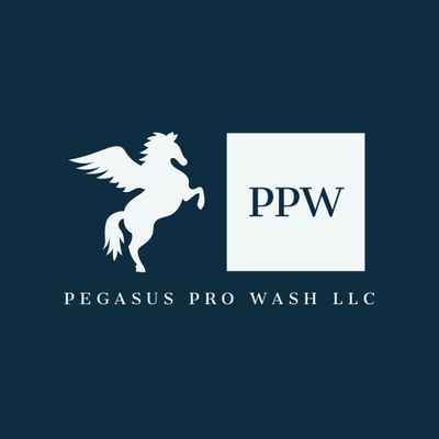 Avatar for Pegasus Pro Wash LLC