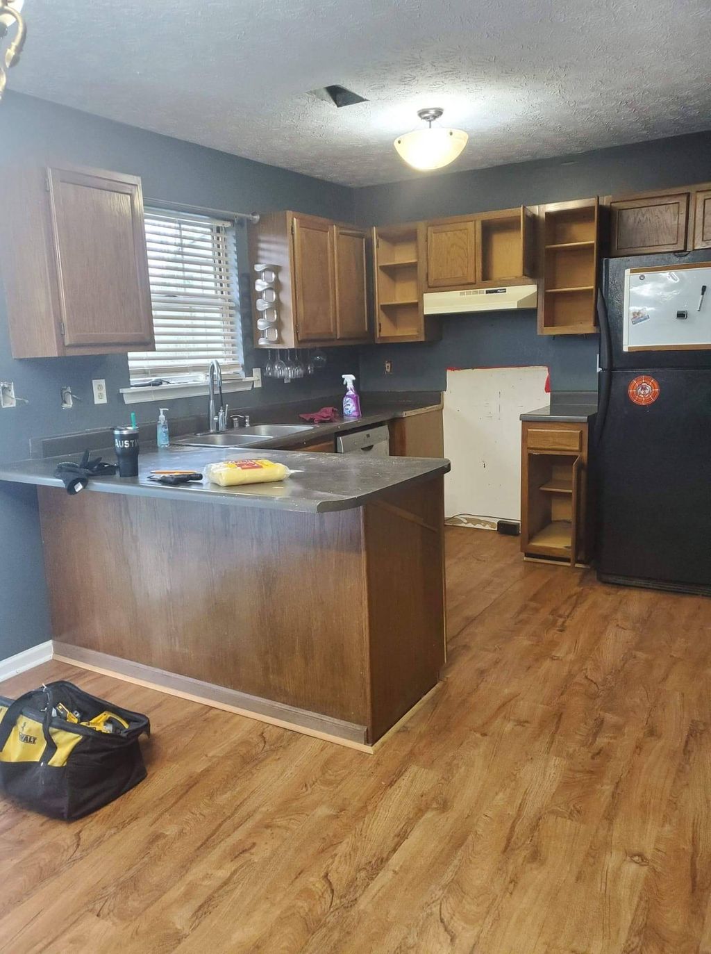 Paint Cabinets & Countertop Replacement Before (1 