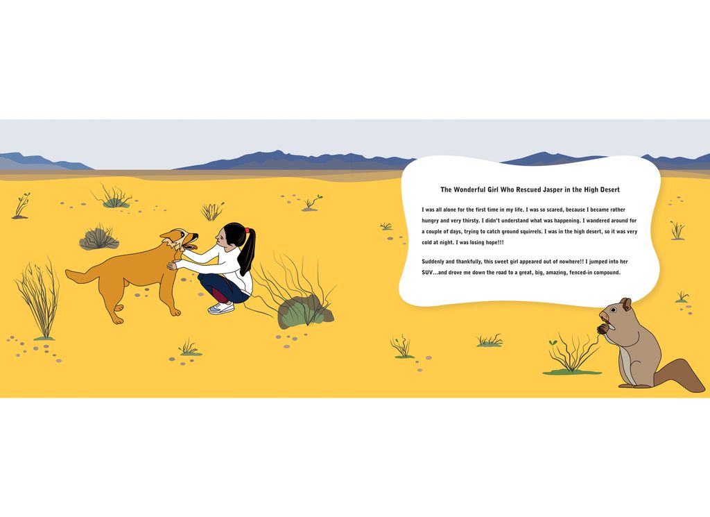 Book Illustration