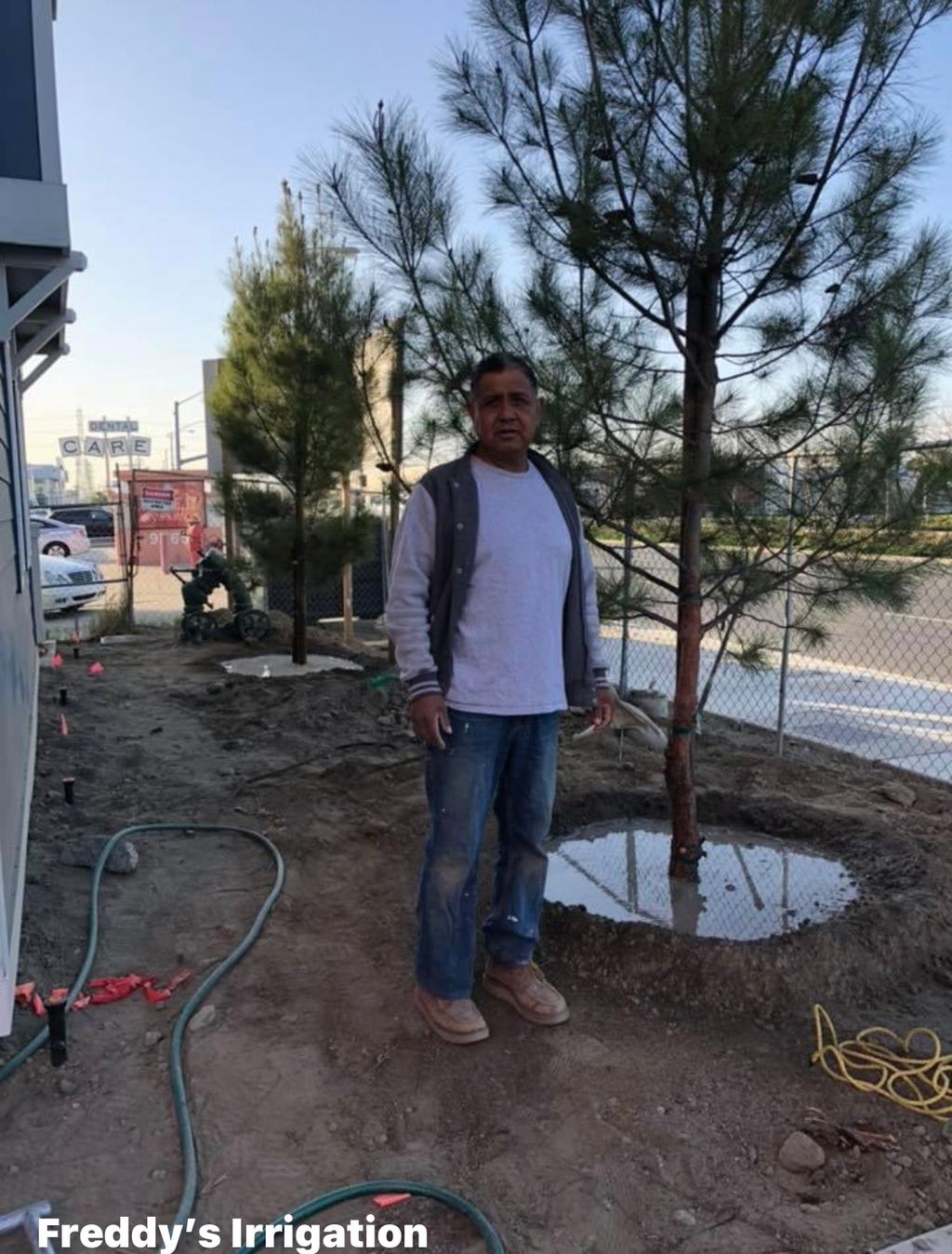 Projects and media