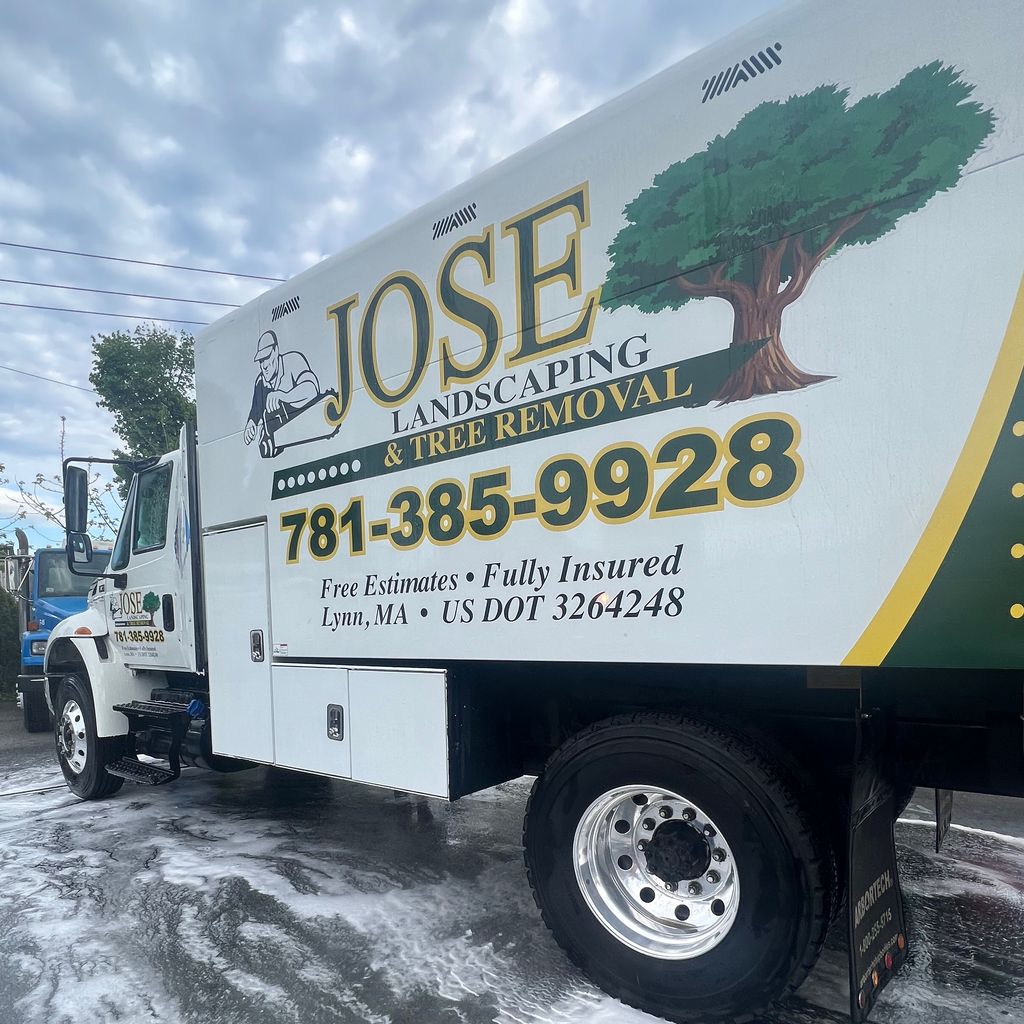 Jose Tree Removal Service