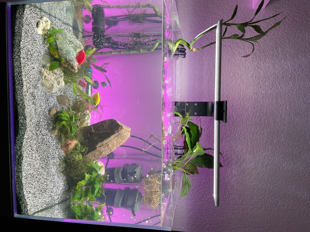 Customer photos