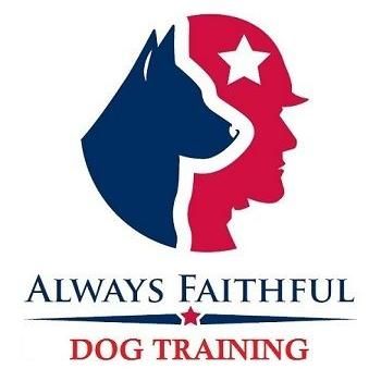 Avatar for Always Faithful Dog Training Tampa