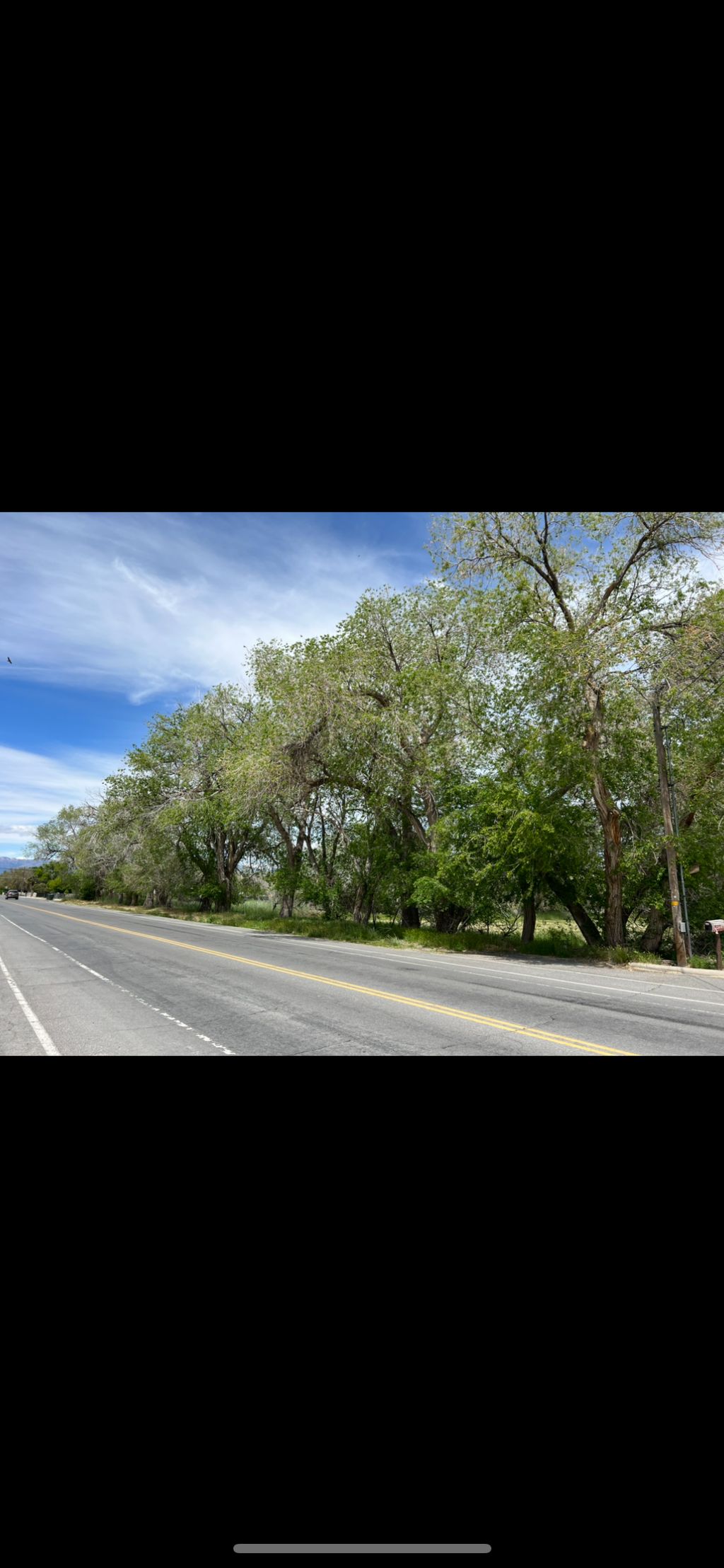 Land Clearing