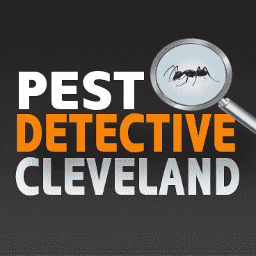 Avatar for The Pest Detective