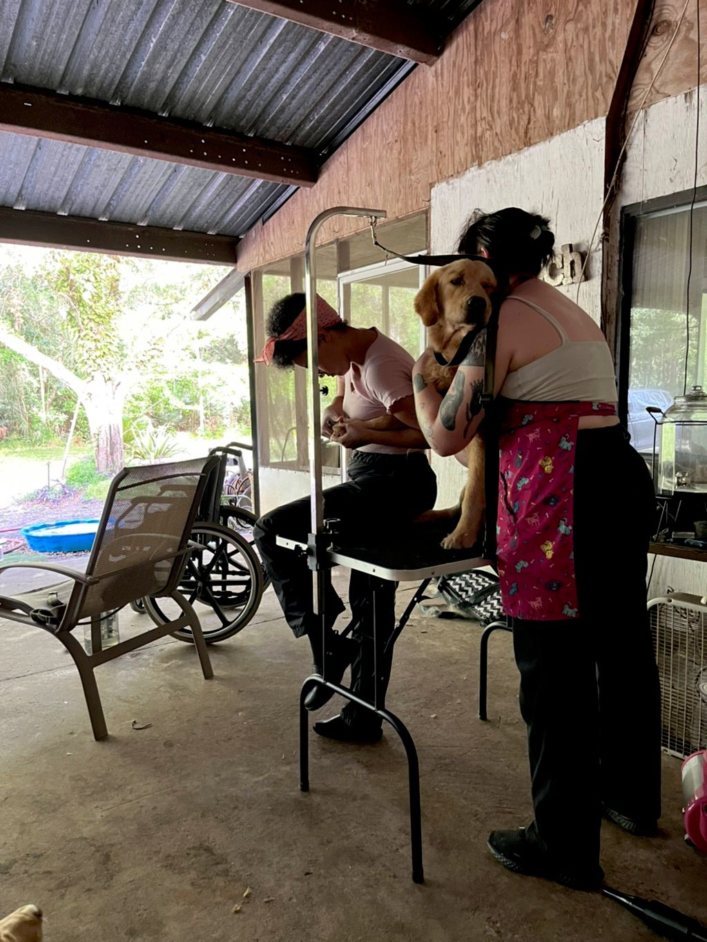This is Marley’s first session on our grooming tab