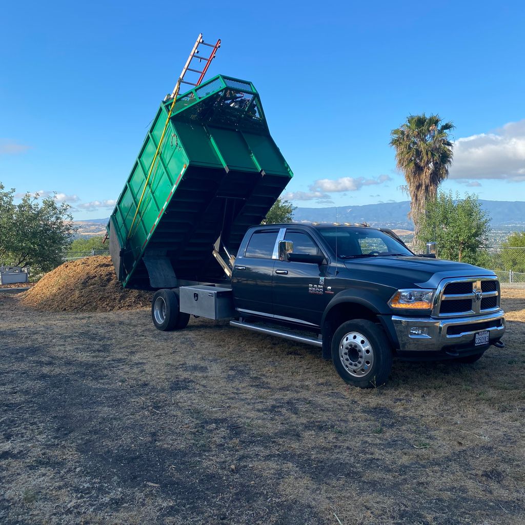 jose tree service near me