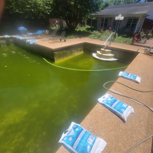 Swimming Pool Inspection