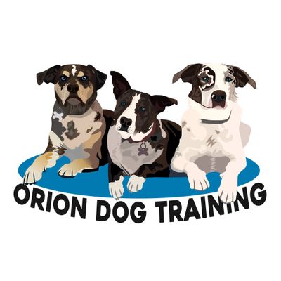 Avatar for Orion Dog Training
