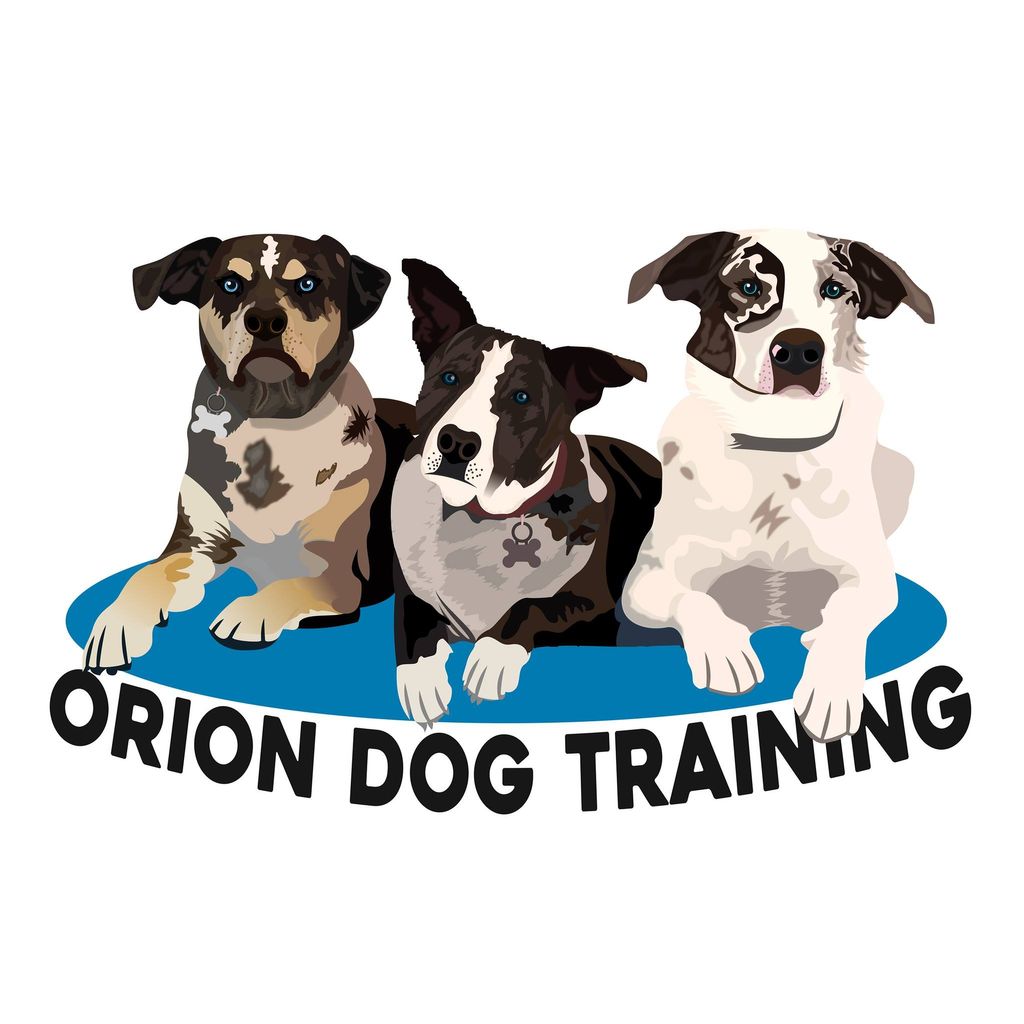 Orion Dog Training