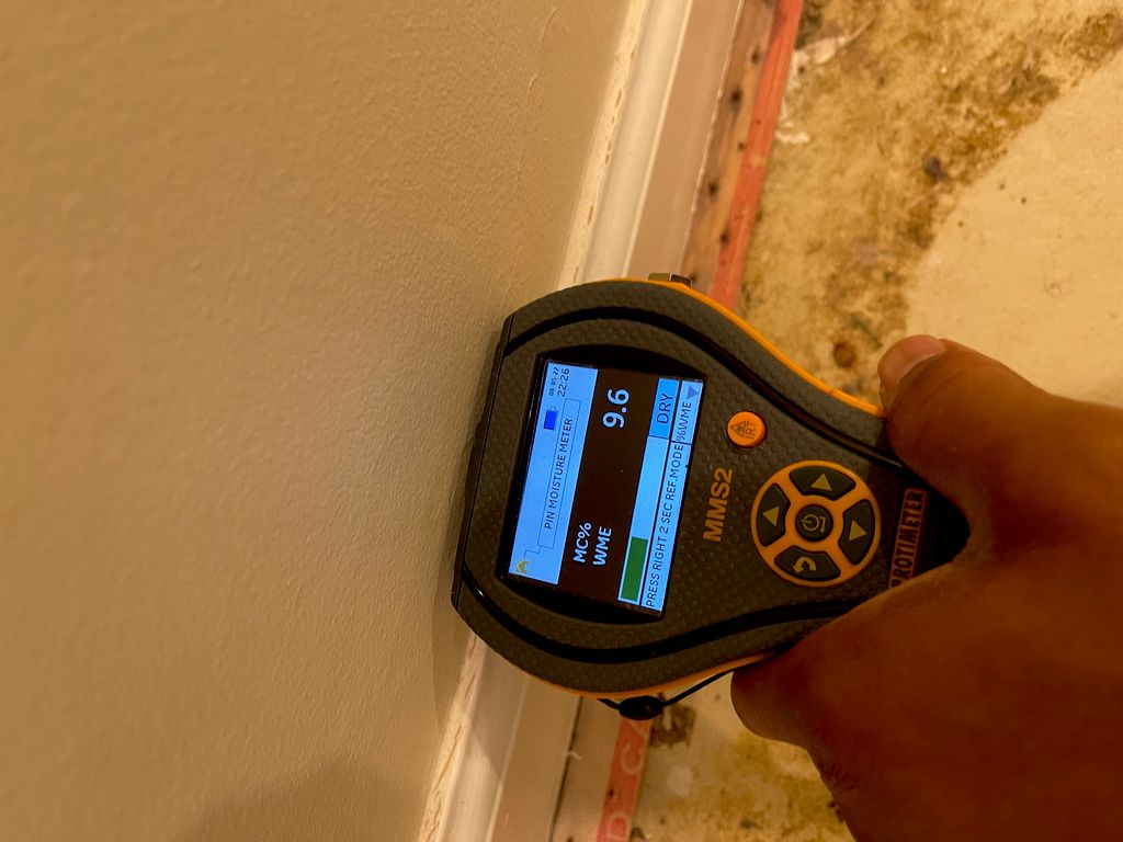 Testing Moisture