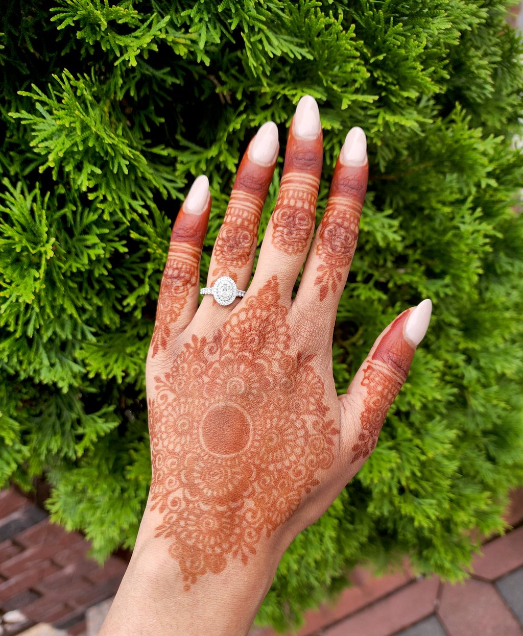 Customer photos