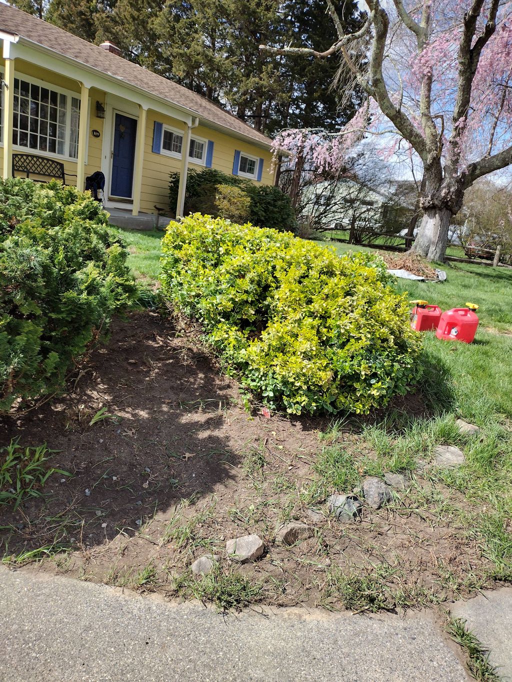 Heavy Trimming After