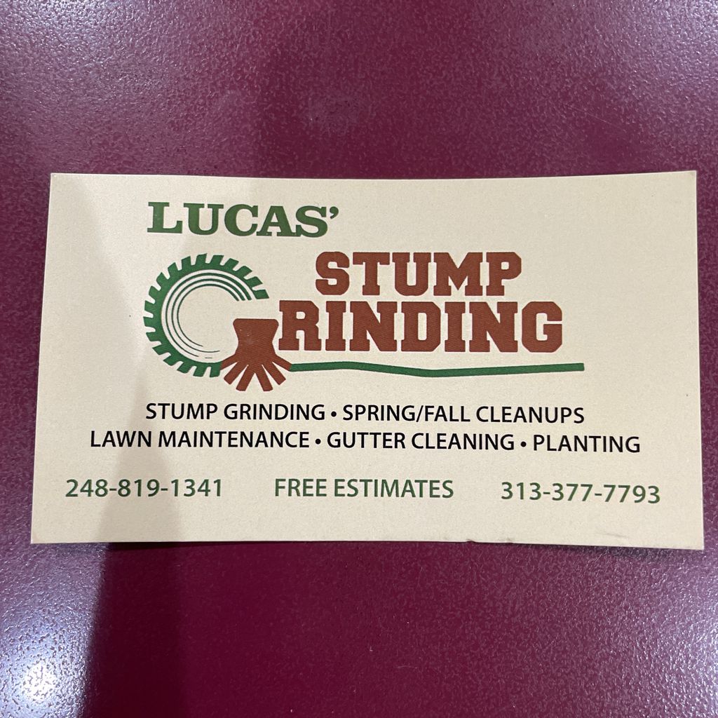 Lucas Stump Grinding & Tree Service