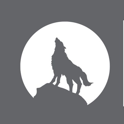 Avatar for Wolf Home Renovations, LLC