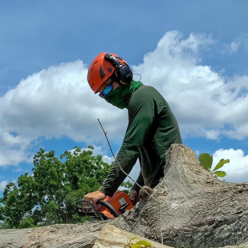 Tree Masters