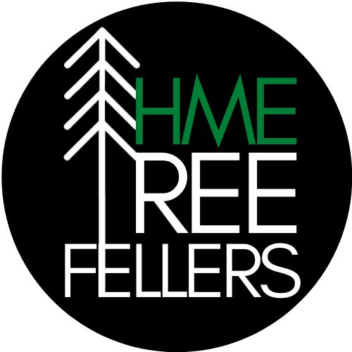 Hive Mind Enterprises, LLC