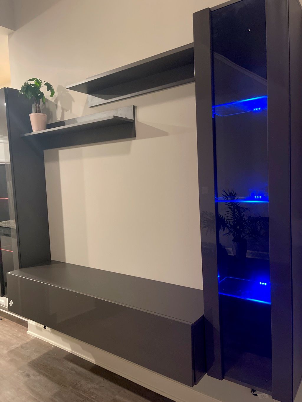 Projects and media