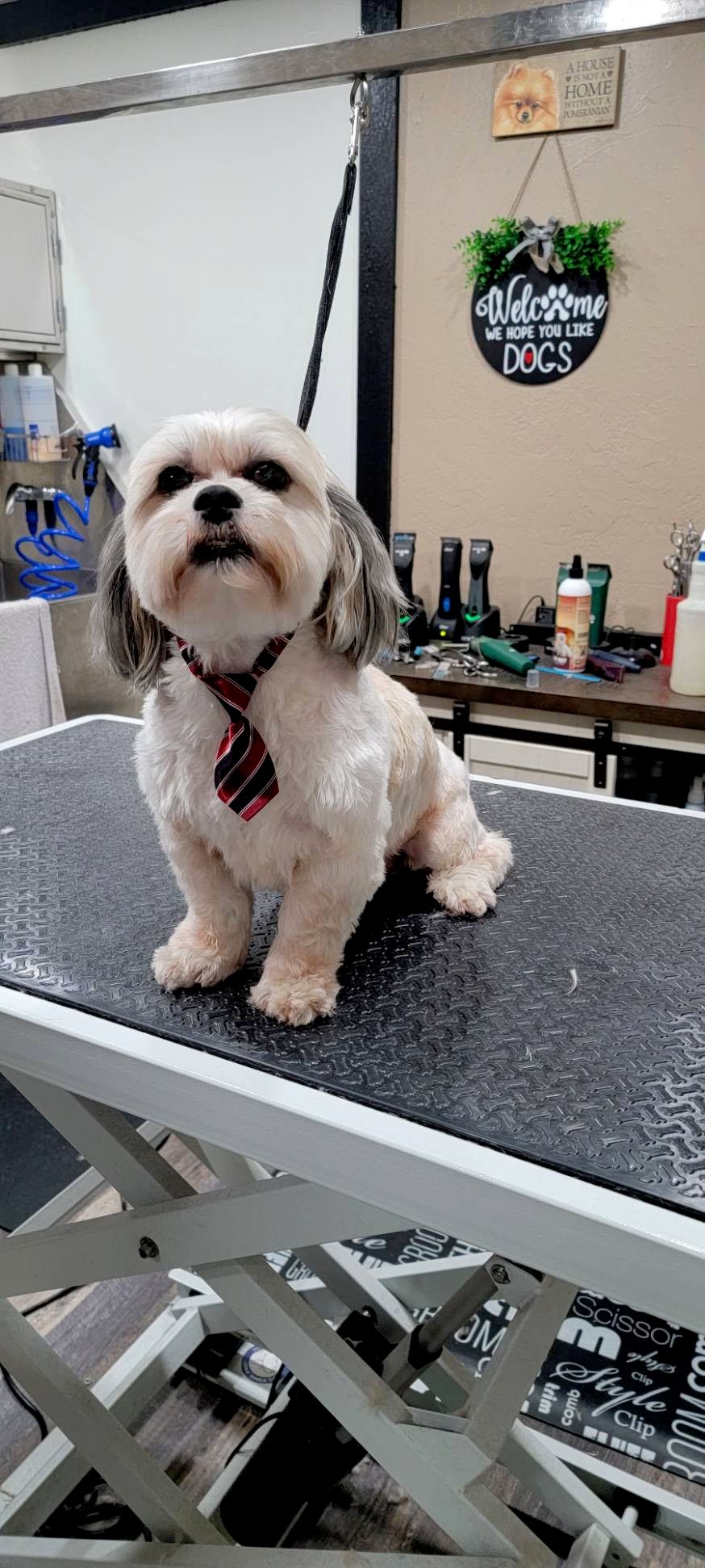Customer photos