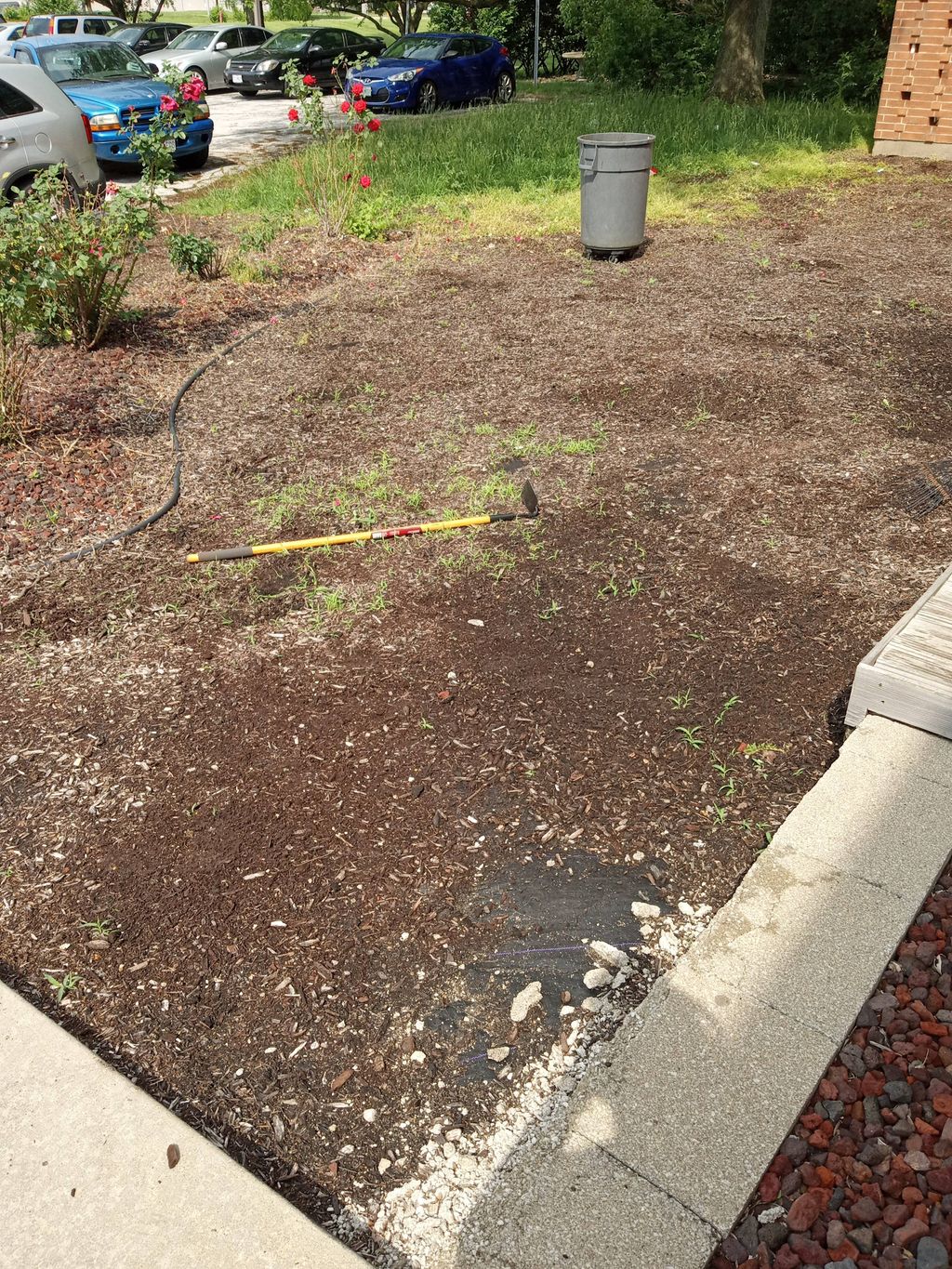 weeds removal