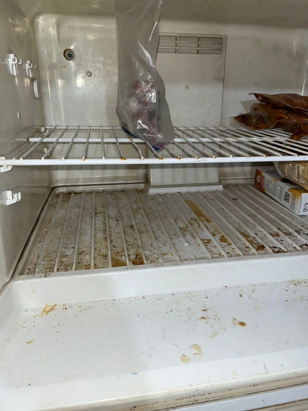 Before - Freezer