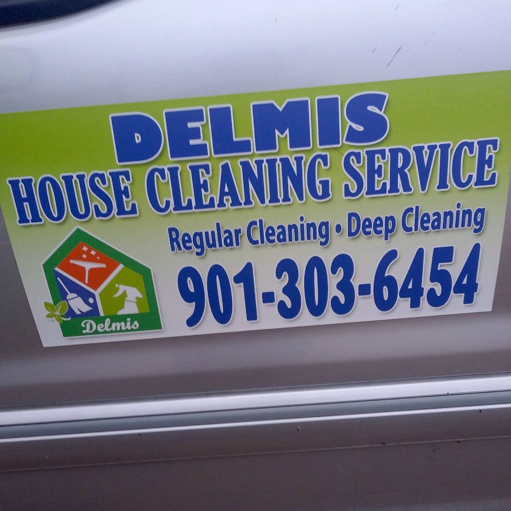 Delmis  cleaning services