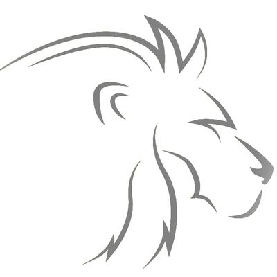 Avatar for Lion Pro Services LLC