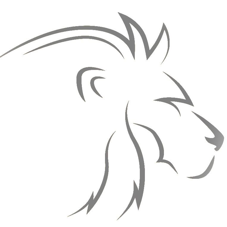 Lion Pro Services LLC