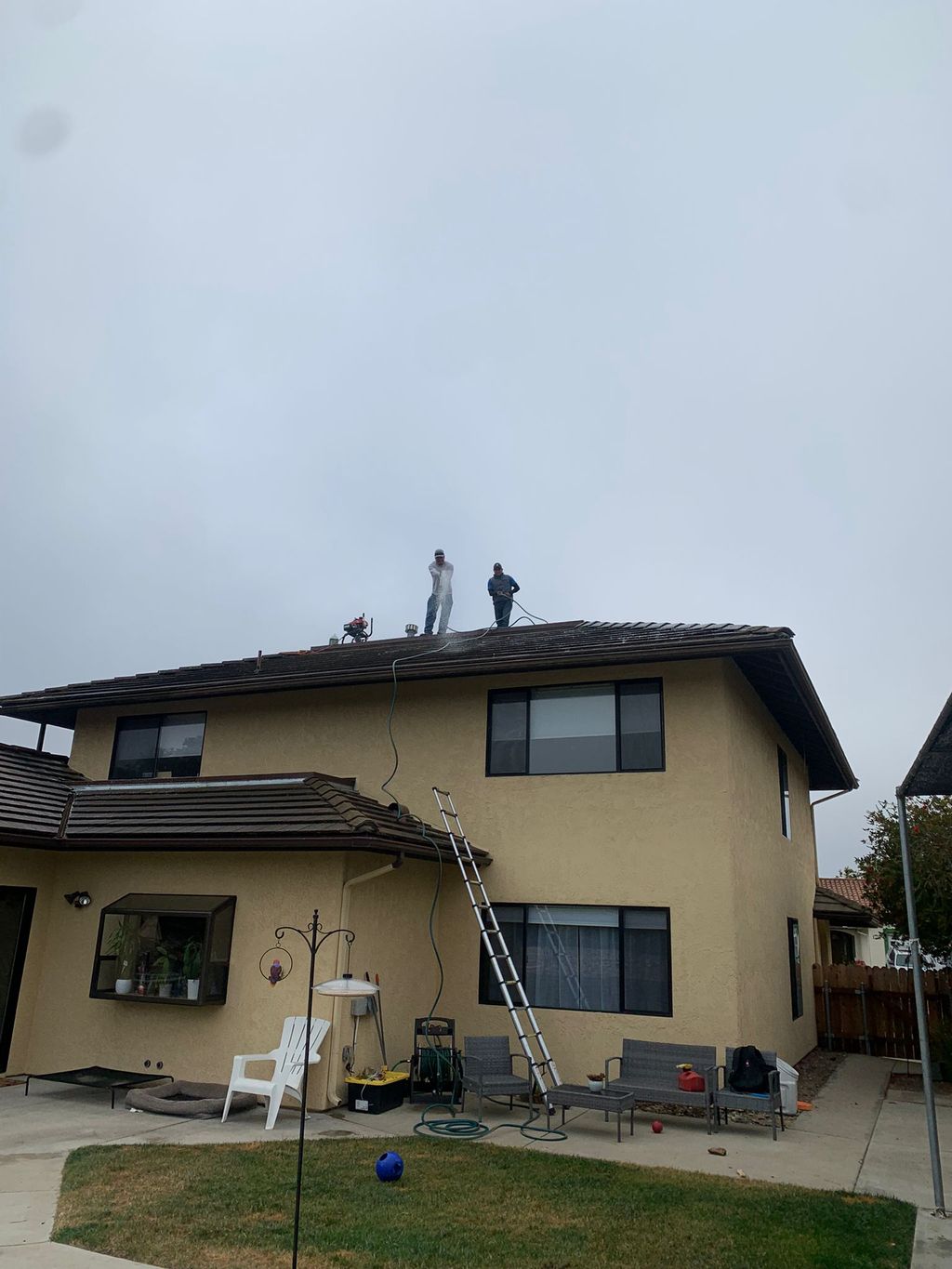 Cleaning Roof and Windows 