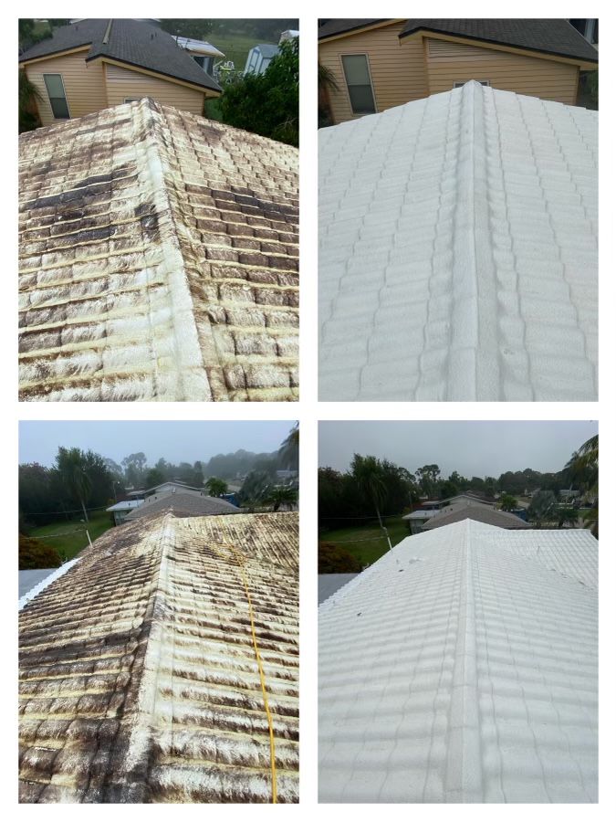 Roof Cleaning