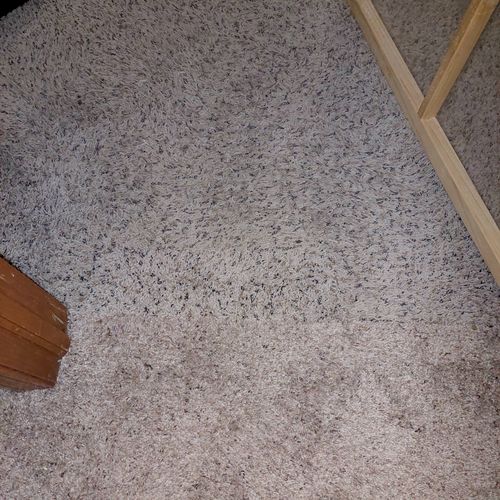 After picture of pet damaging carpet seam. All Fix