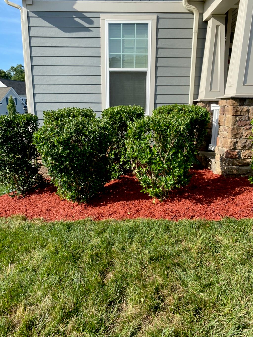Customer photos