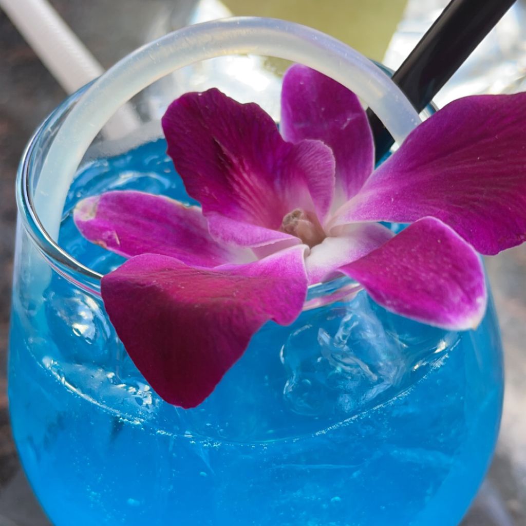 BarGirlsTalk