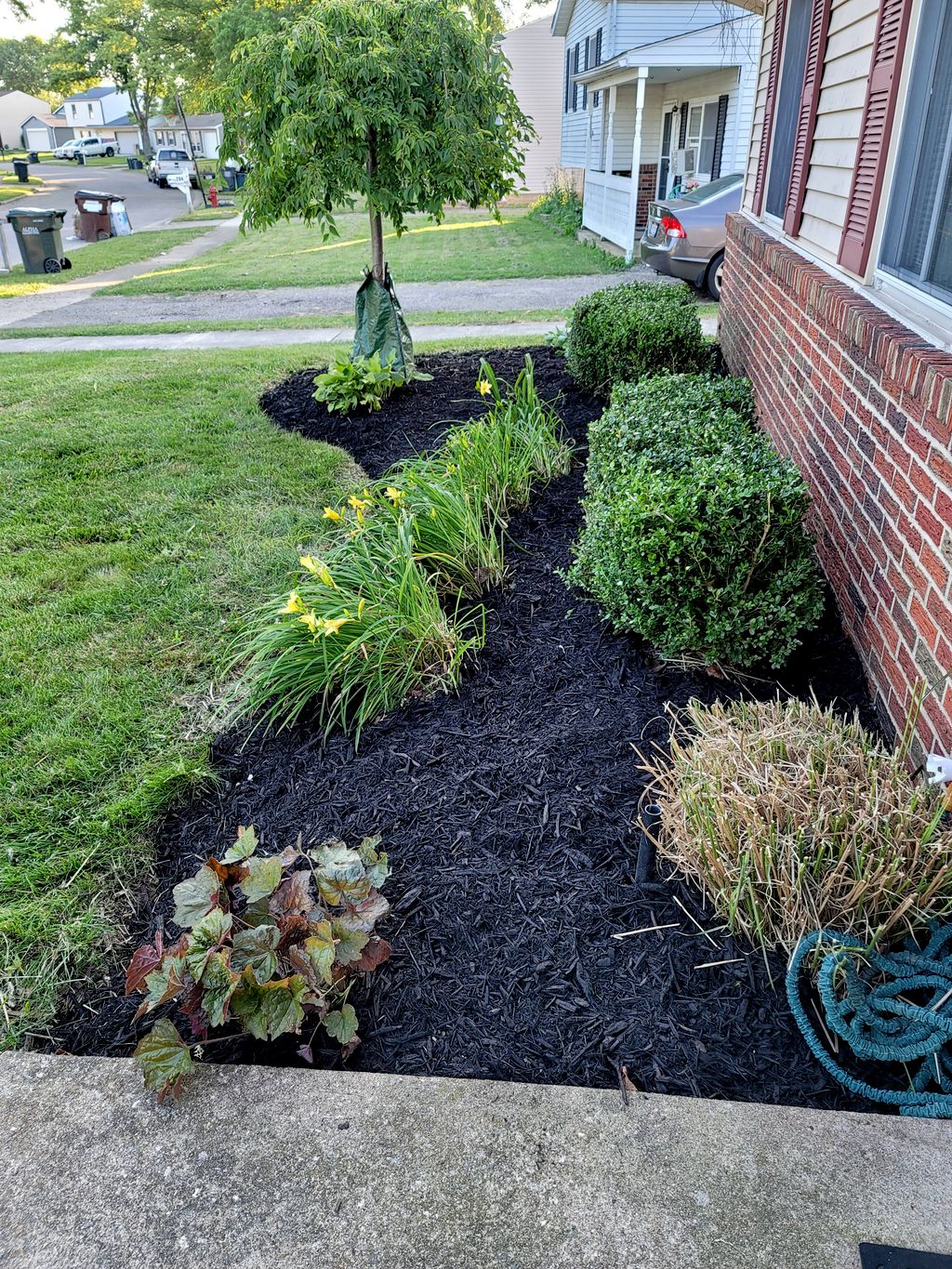 Customer photos