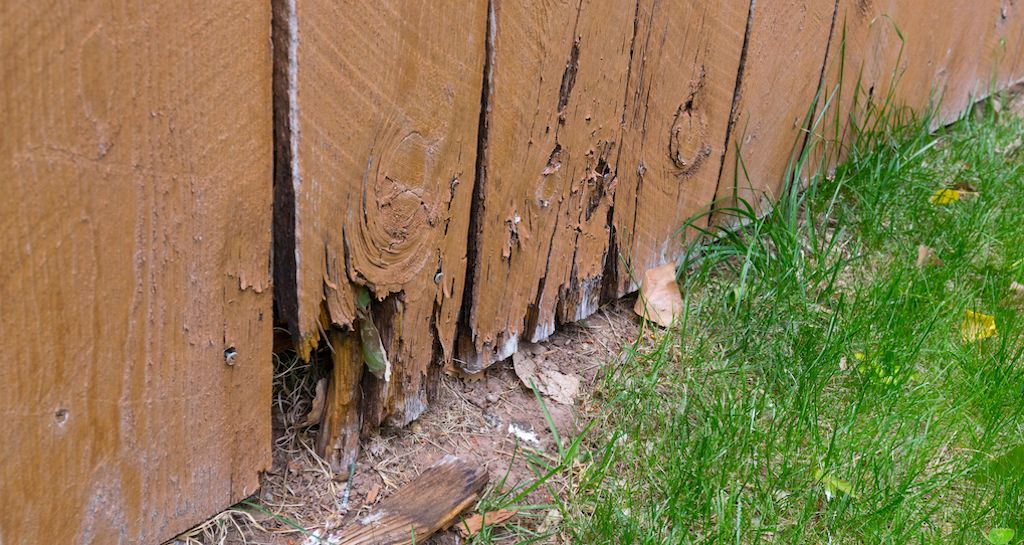 How Much Do Fence Repairs Cost?