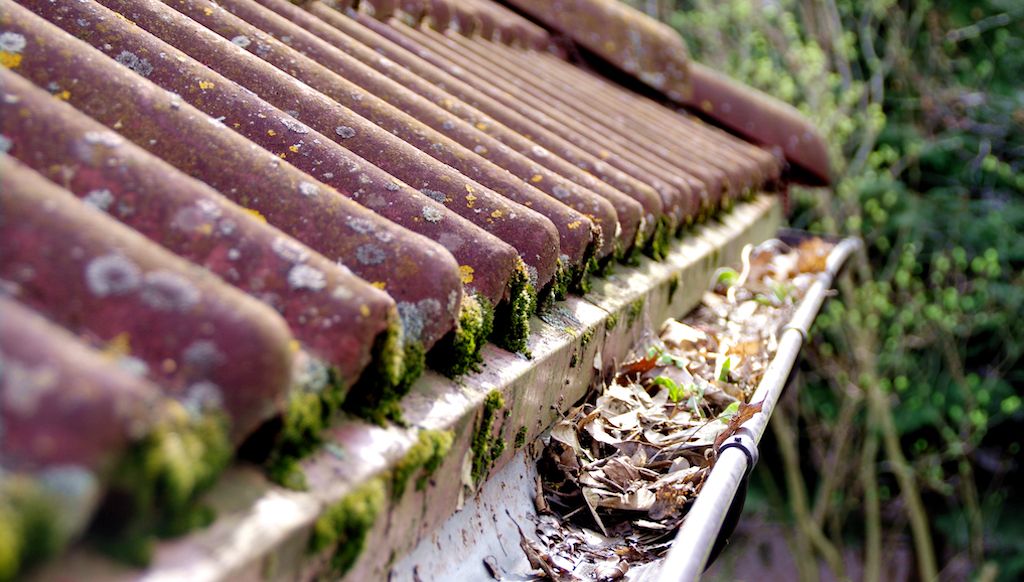 roof damage in summer