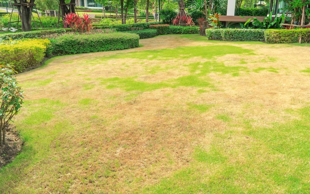11 ways summer weather can damage your home and yard.
