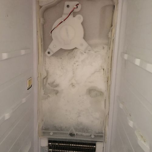 Freezer Service
