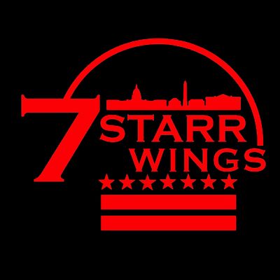 Avatar for 7 Starr Wings